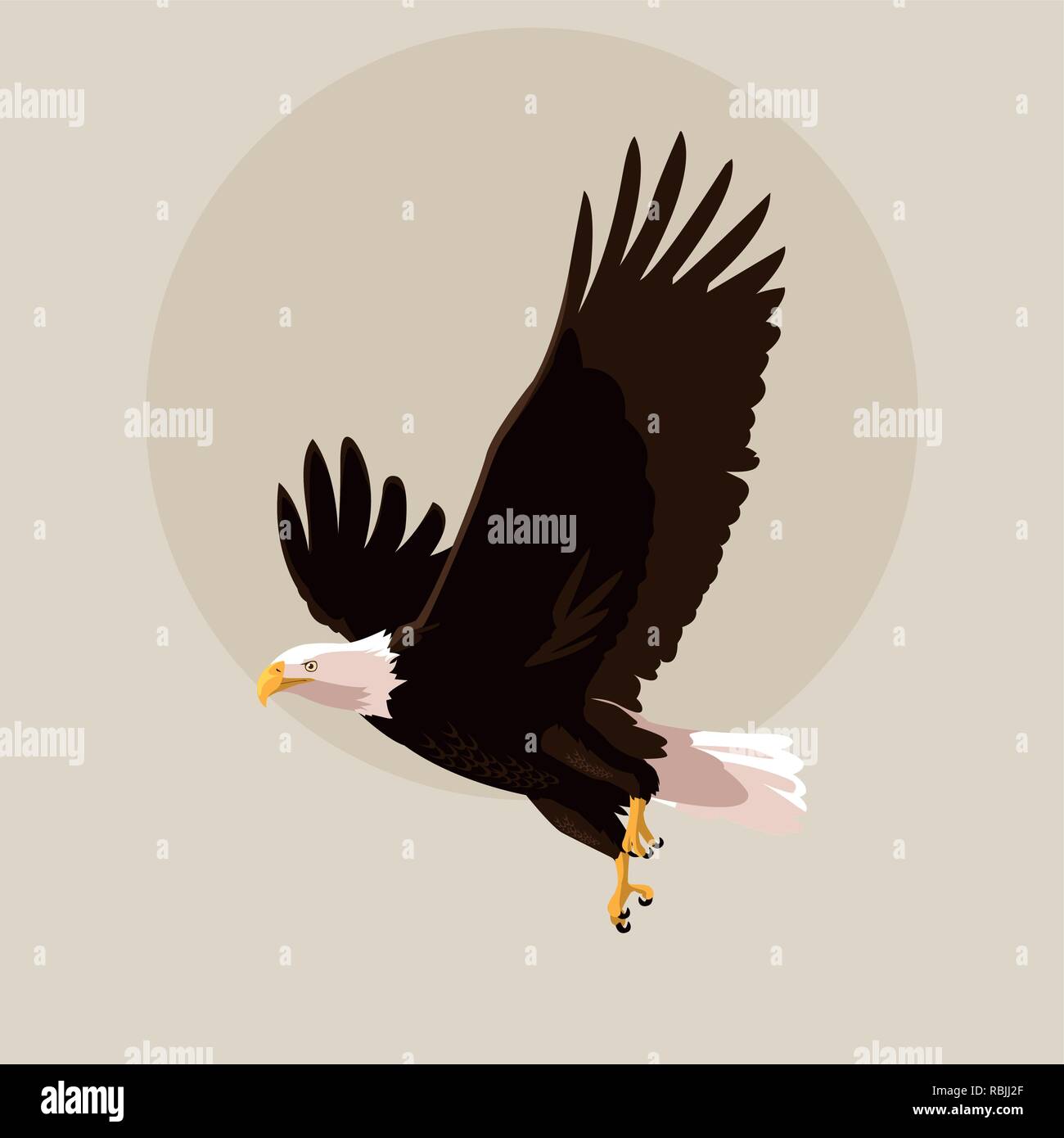 bald eagle bird flying vector illustration design Stock Vector Image ...