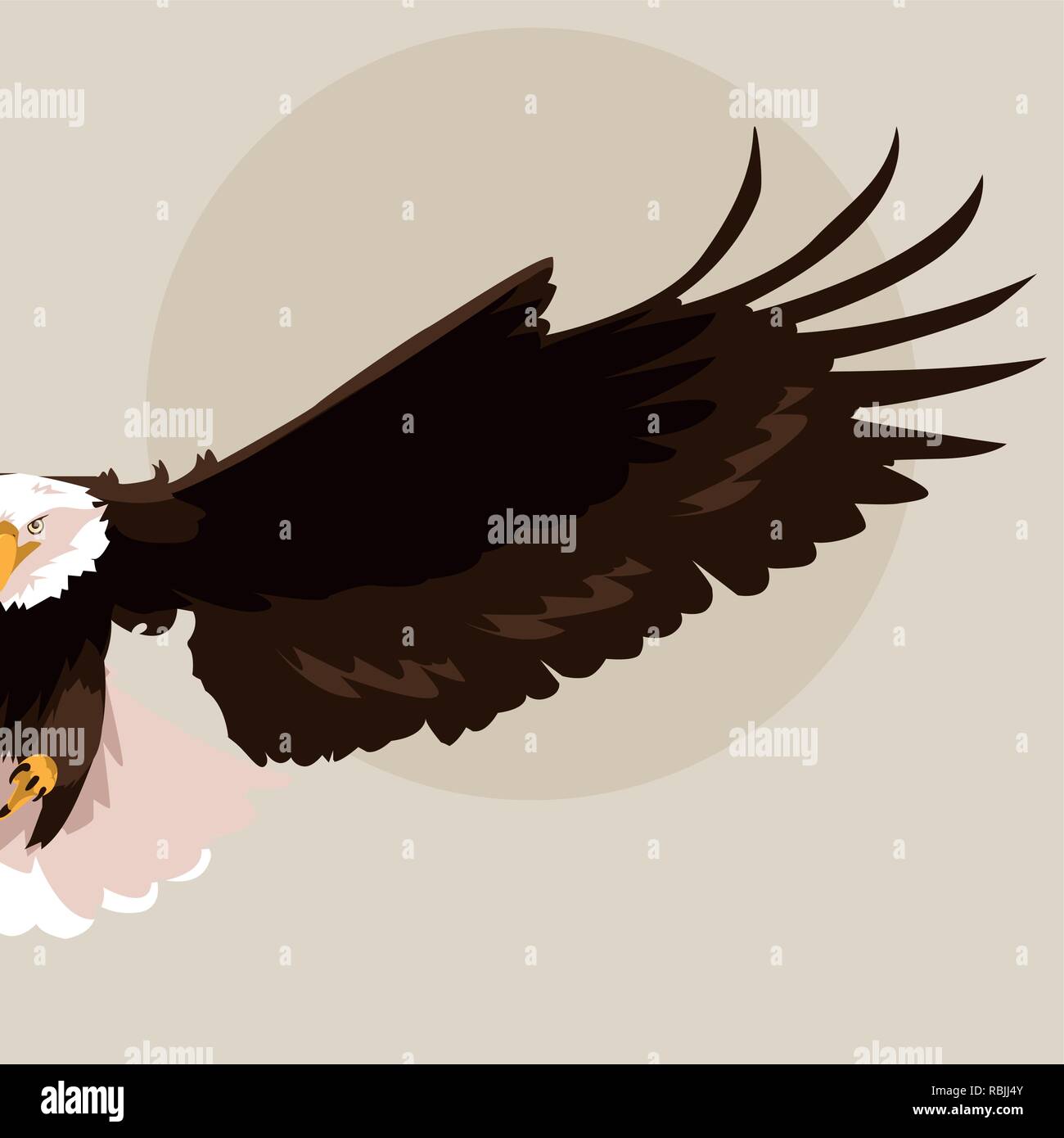 bald eagle bird flying vector illustration design Stock Vector Image ...