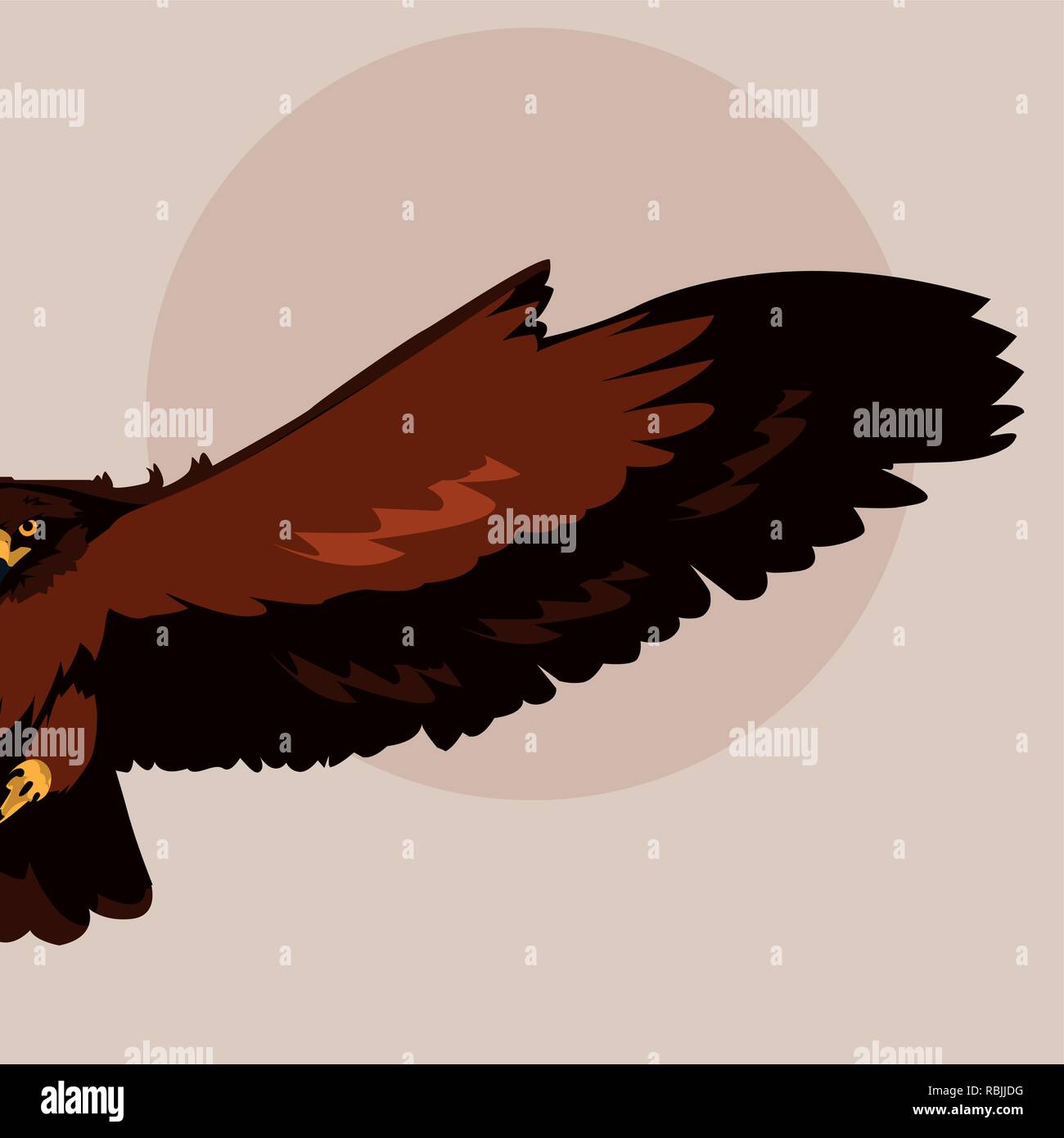 imposing hawk bird flying vector illustration design Stock Vector Image ...