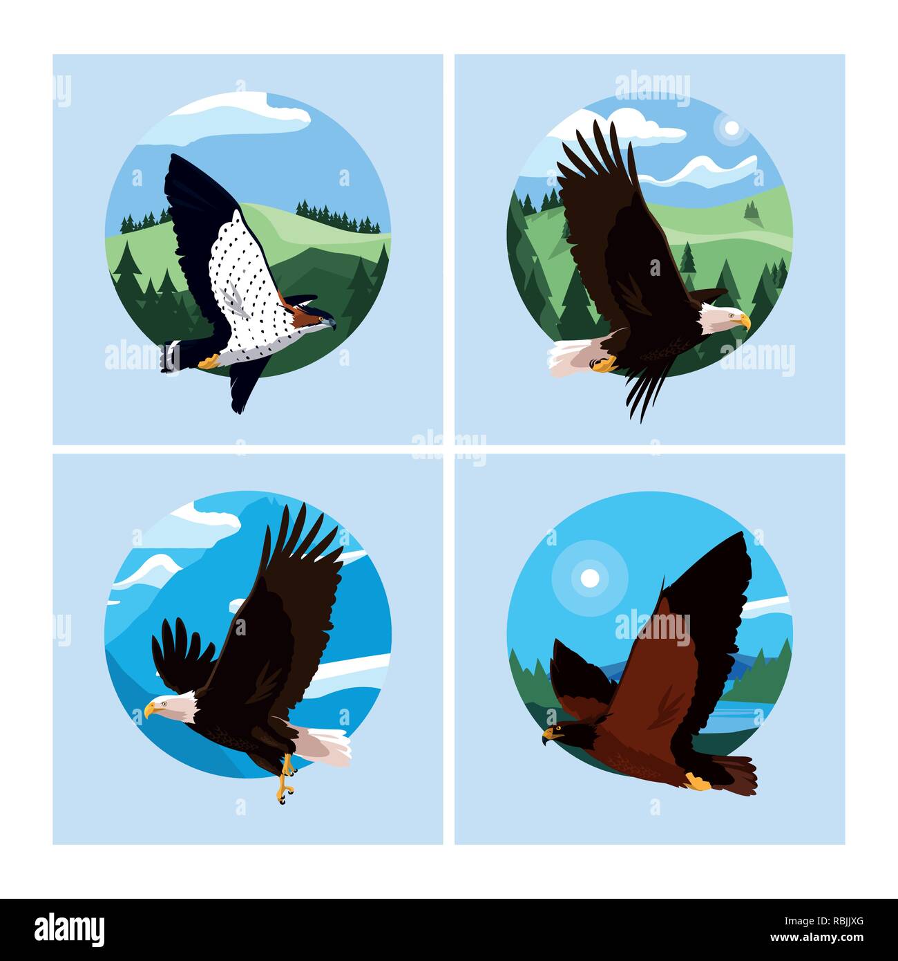 hawks and eagles birds in the landscape vector illustration design ...