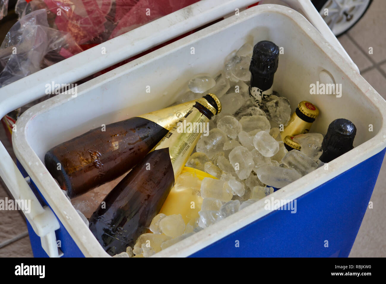 beers in an esky with ice / cooler / cool box / yeti Stock Photo