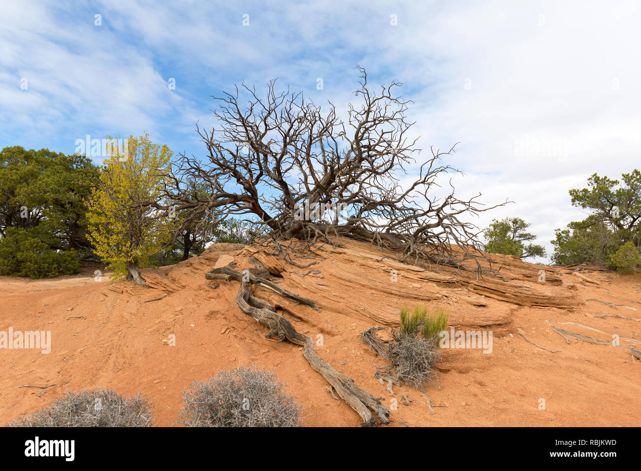 Rugged landscape of Canyonlands National Park in Utah. Stock Photo