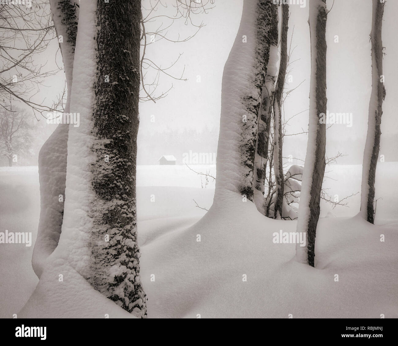 DE - BAVARIA: Wintertime near Bad Tölz Stock Photo