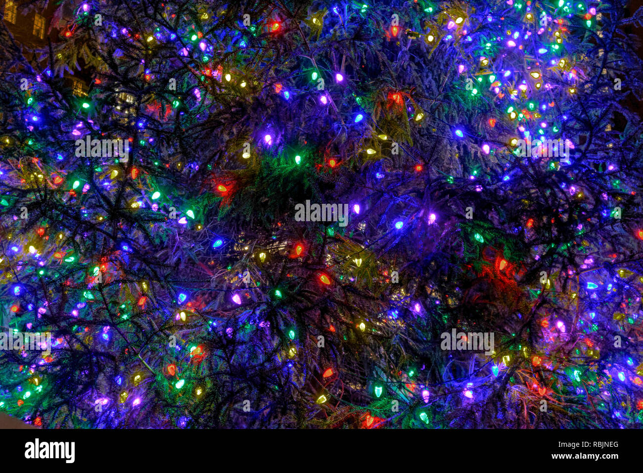 Christmas tree with colorful lights Stock Photo Alamy