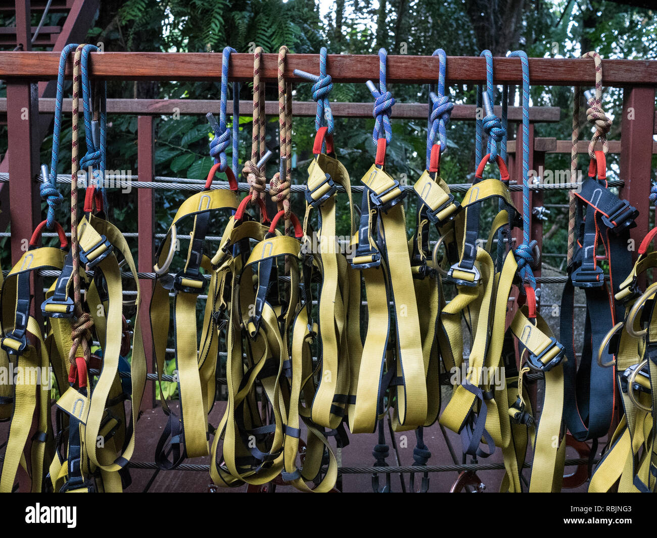 Harnesses hi-res stock photography and images - Alamy