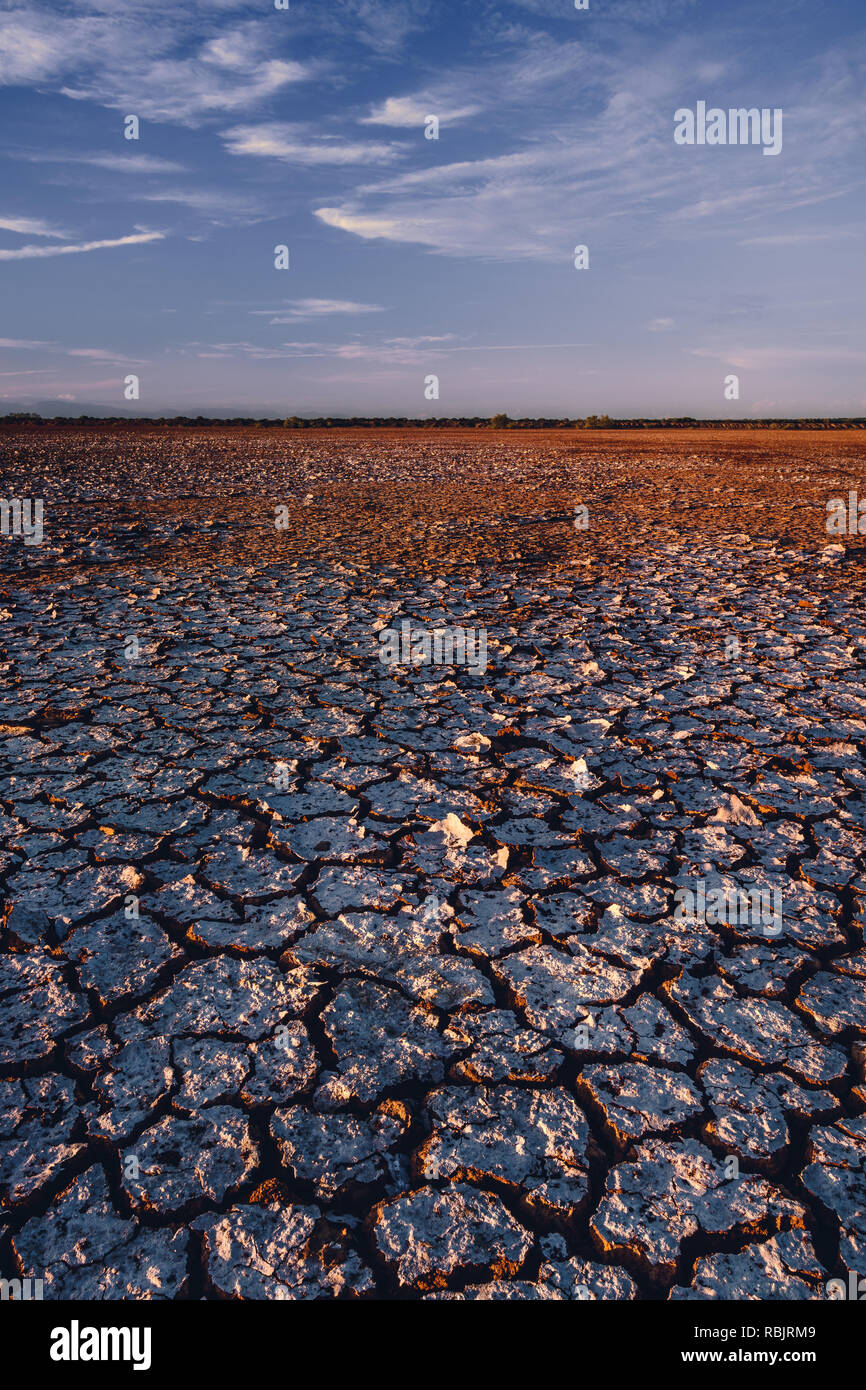 Mud tiles fill the surface of Sarigua Desert in Panama Stock Photo