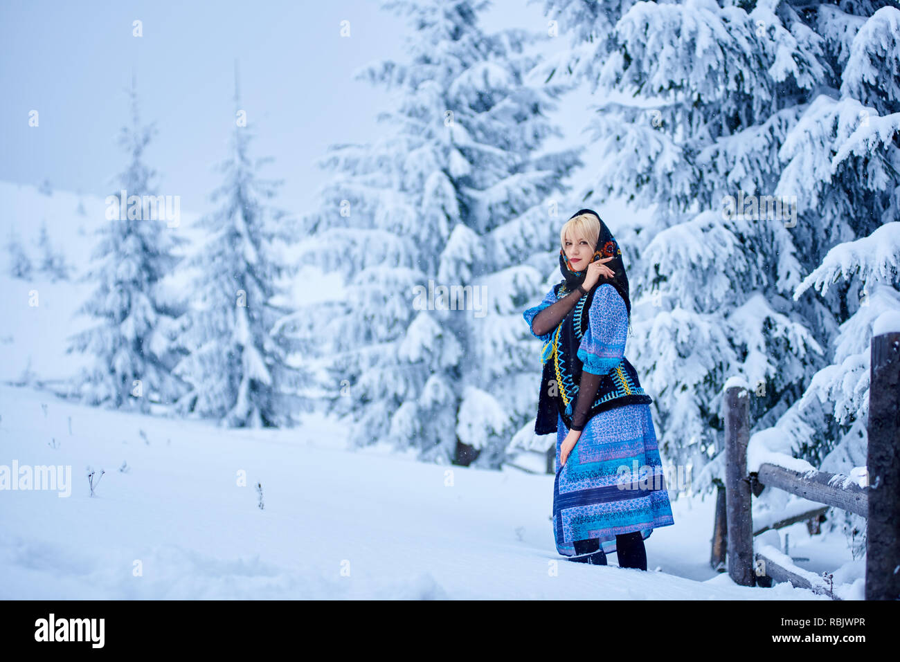 Young attractive fashionable blond girl in blue dress, embroidered warm sleeveless fur coat and kerchief with floral design outdoor at wooden fence on Stock Photo