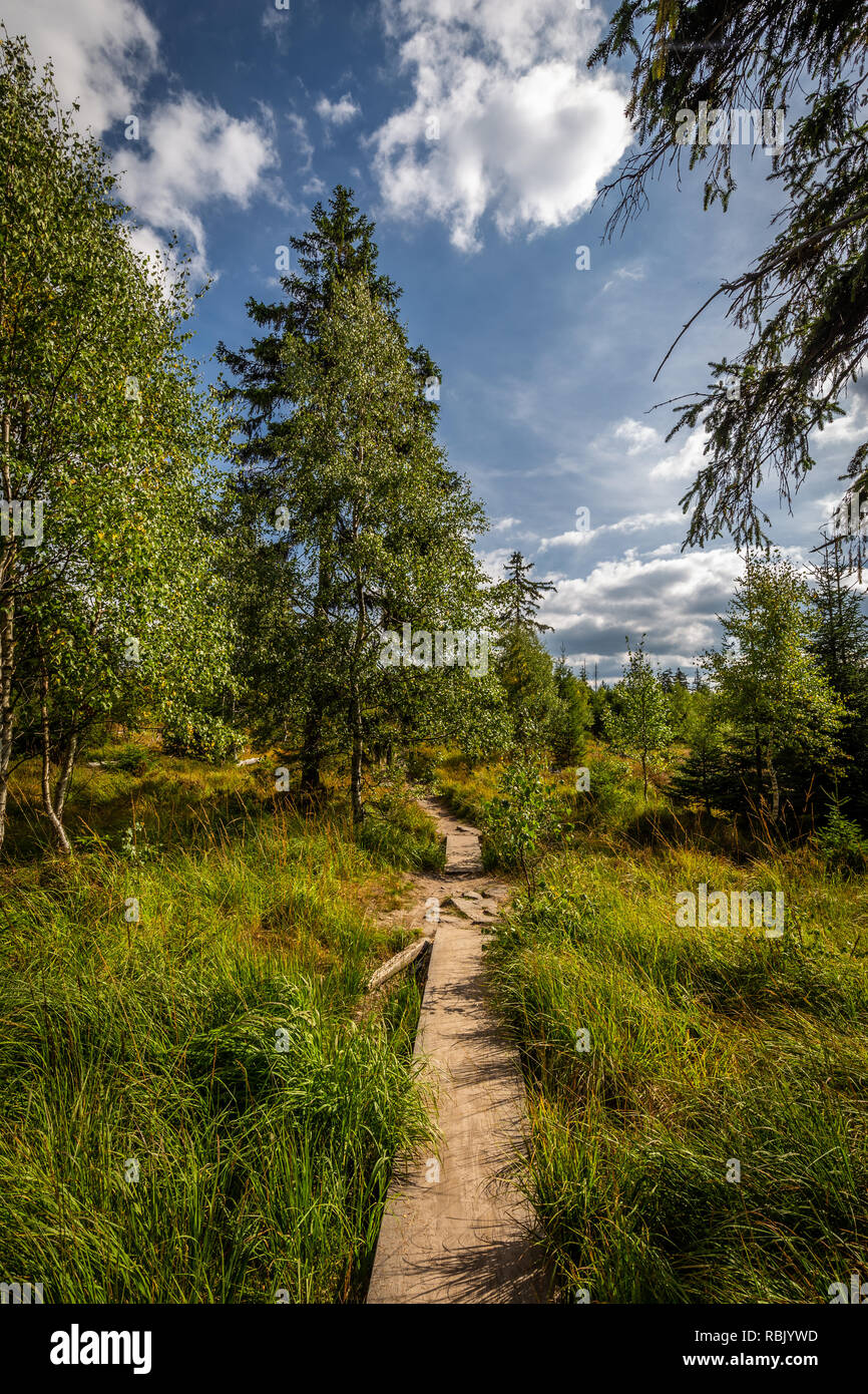 Errant tree hi-res stock photography and images - Alamy