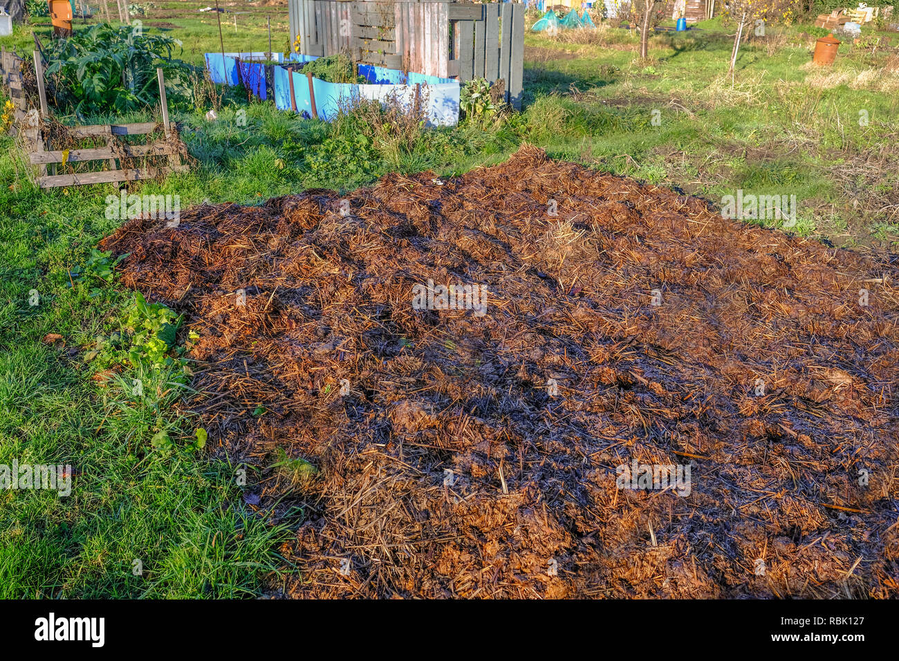 Rotting manure hires stock photography and images Alamy