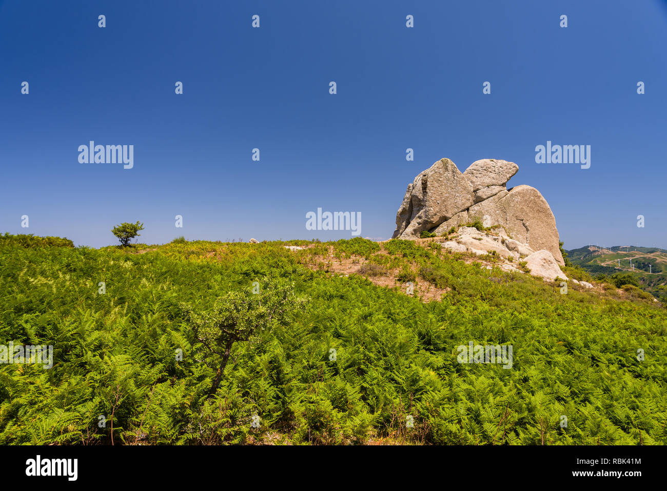 Eagle shaped rock formations of Argimusco near Montalbano Elicona, Sicily Italy Stock Photo