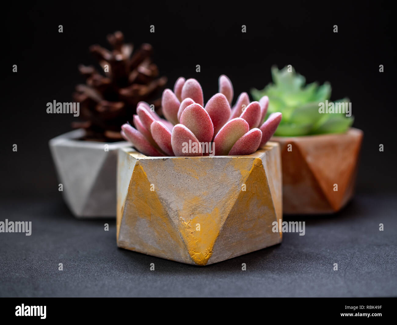 Gold, silver and copper pentagon geometric planters on black background. Modern beautiful painted concrete planters and cactus plants or succulent pla Stock Photo