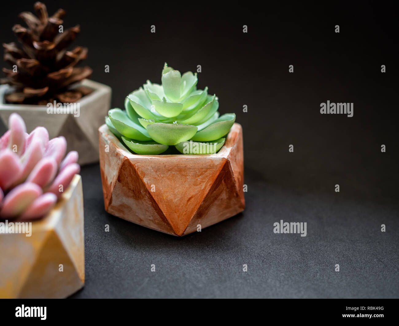 Gold, silver and copper pentagon geometric planters on black background with copy space. Modern beautiful painted concrete planters and cactus plants  Stock Photo