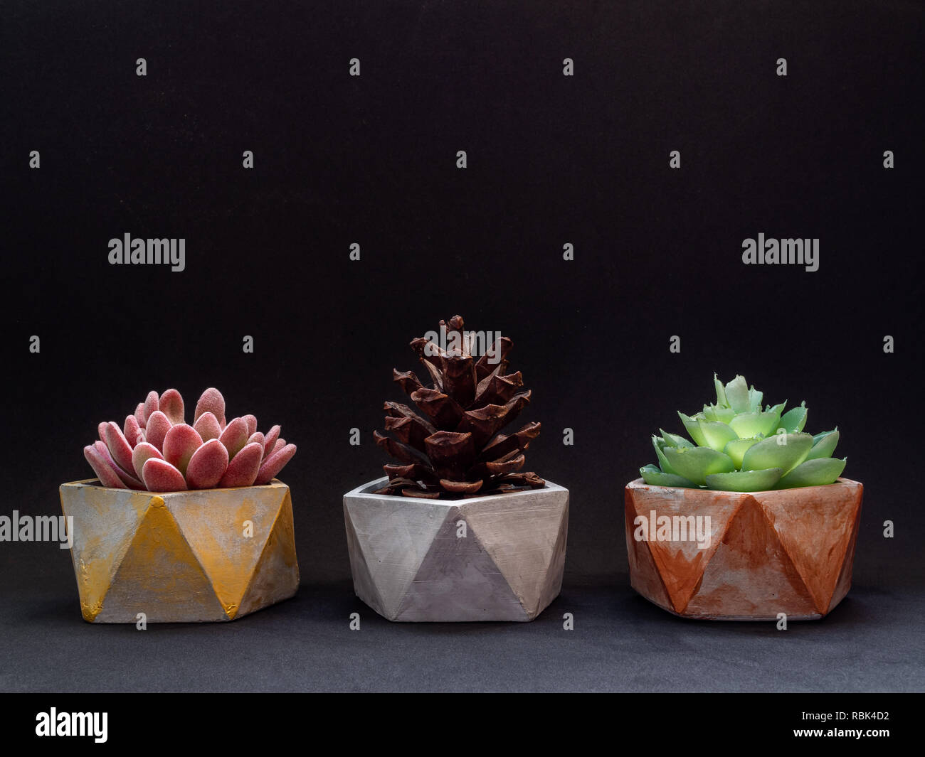 Gold, silver and copper pentagon geometric planters on black background with copy space. Modern beautiful painted concrete planters and cactus plants  Stock Photo