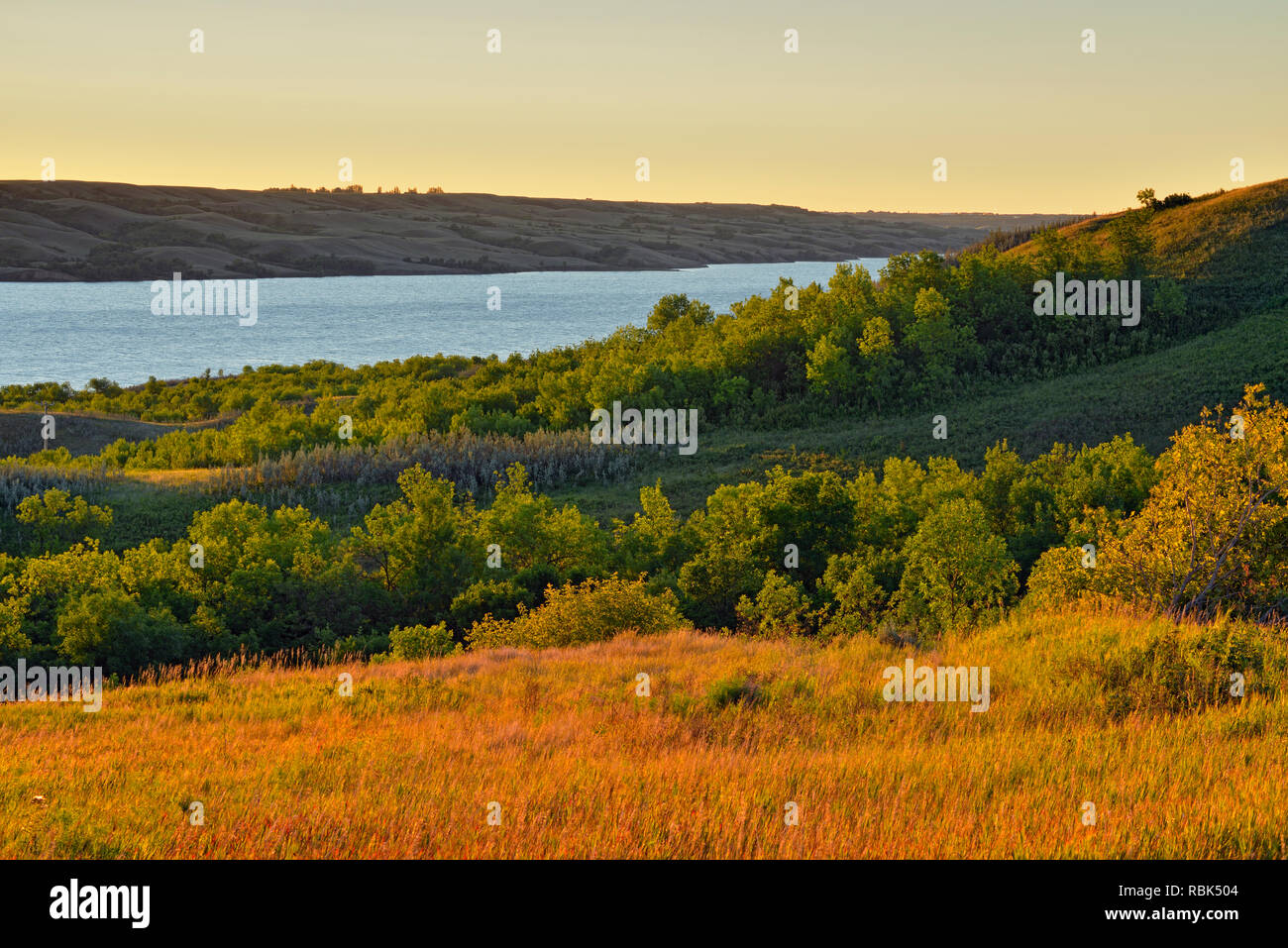Buffalo Pound Lake and shoreline at dawn, Buffalo Pound Provincial Park
