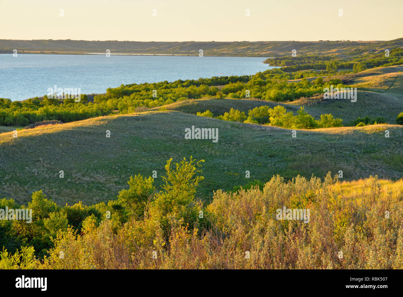 Buffalo Pound Lake and shoreline at dawn, Buffalo Pound Provincial Park,  Saskatchewan, Canada Stock Photo - Alamy