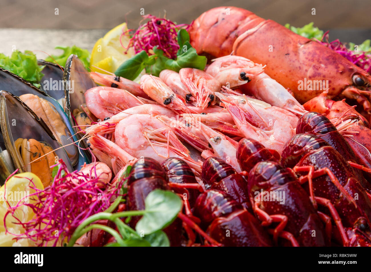 Delicious and sustainable seafood, straight from the fisherman boat to