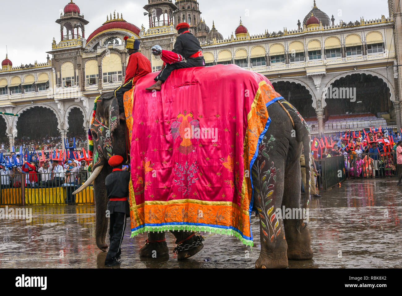 Decorated elephants at Mysore Dussehra celebration or Dasara ...