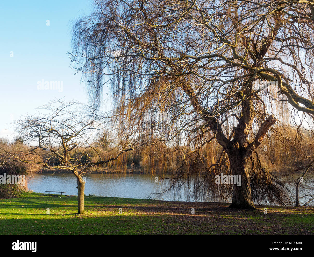 View of the Thamess from Radnor Gardens in Twickenham London, England Stock Photo Alamy