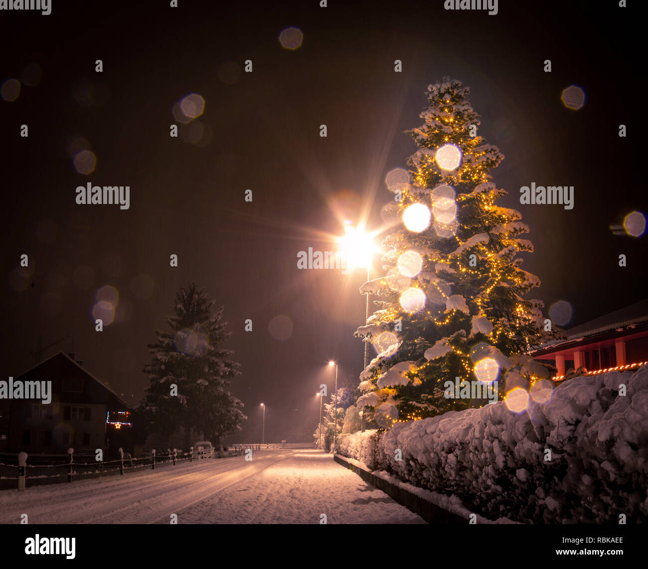 shiny christmas lighing on big tree in rural scene with snow fall and lens flare Stock Photo