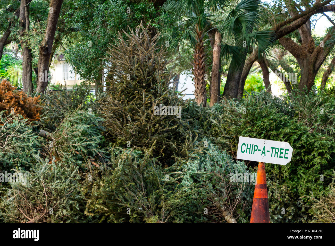 Local ChipaTree Christmas tree recycling program Topeekeegee Yugnee
