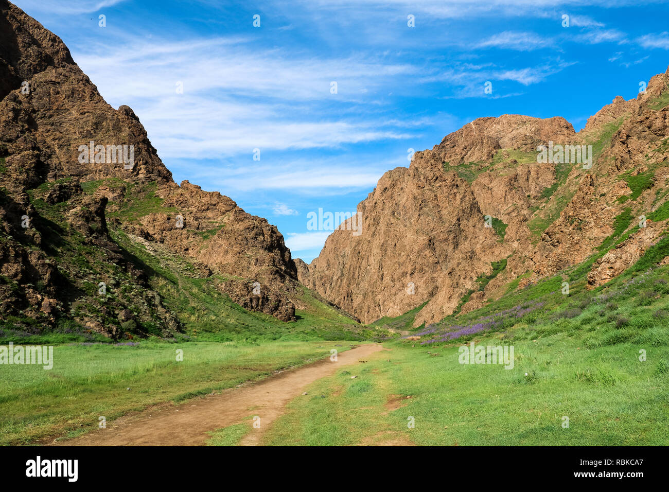 Lonely track towards the centre of Yol Valley in Gobi Desert on a beautiful summer day with blue cloudy sky (Gobi Desert, Mongolia, Asia) Stock Photo