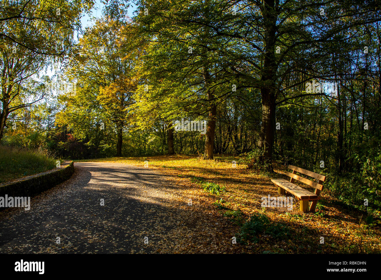 Forest path, park bench on the Birkenkopf, Monte Scherbelino, TrŸmmerberg, excursion destination, near Stuttgart, Stock Photo