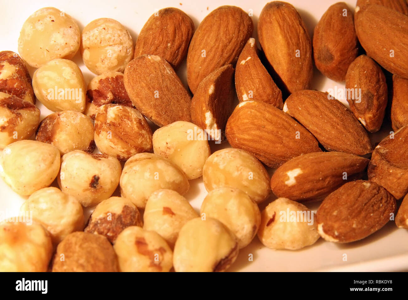 Roasted hazelnuts and almonds. Hazelnuts and almonds Stock Photo Alamy