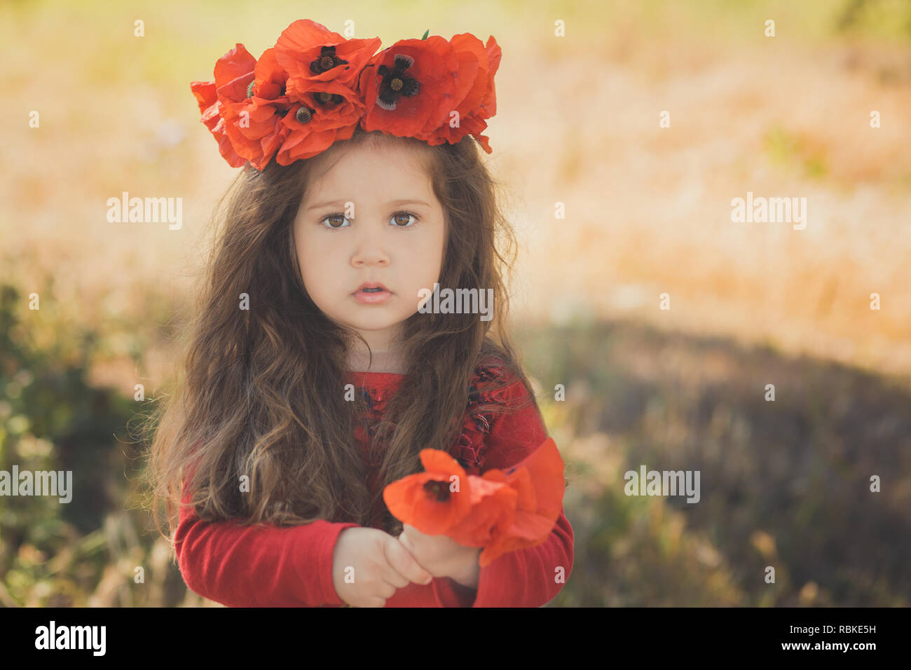 Close portrait of little child girl with big cheeks brown eyes and pout lips wearing stylish red dress with summer shirley poppy on top head. Stock Photo