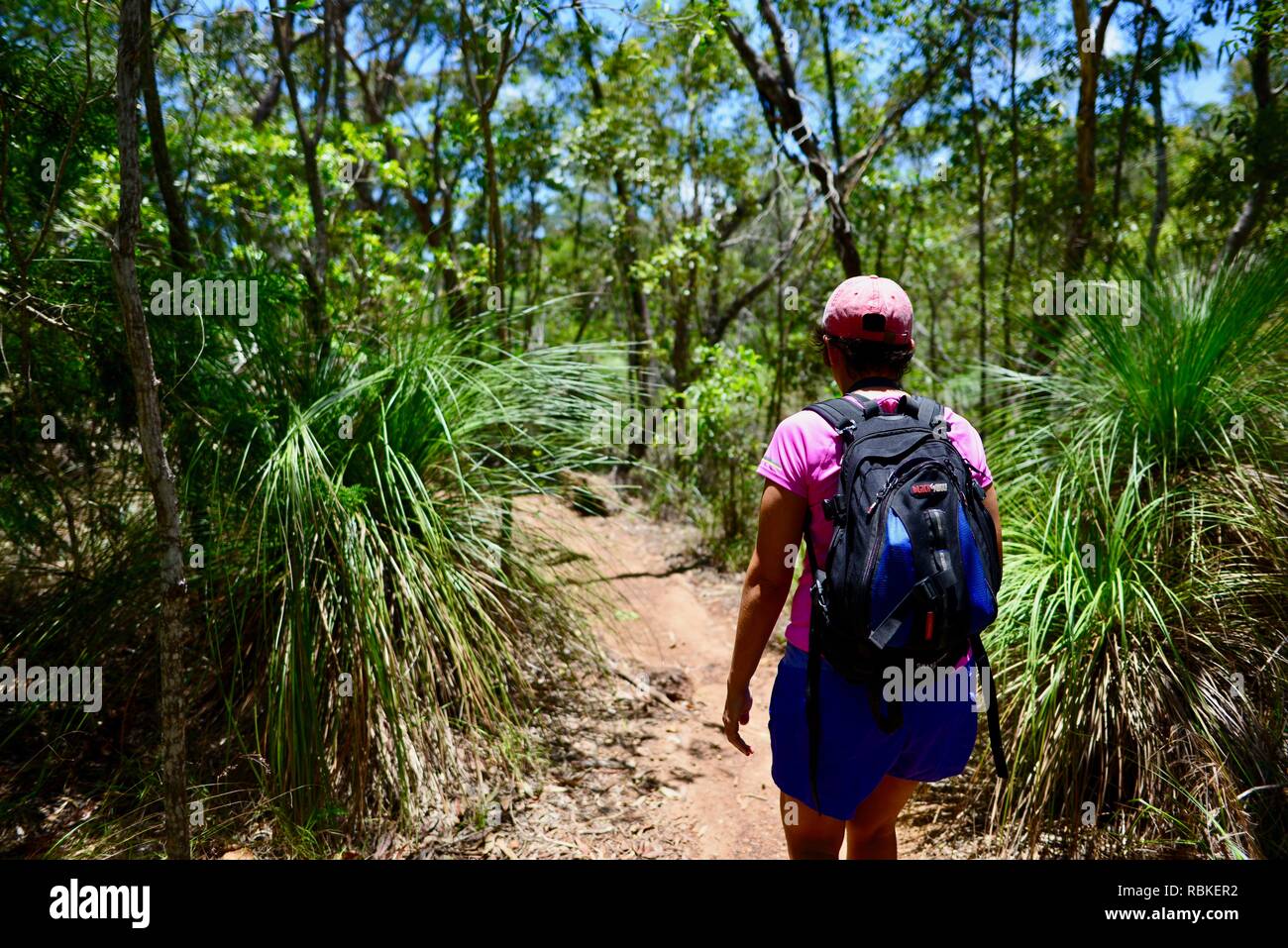 A woman walks along the Andrews Point trail, Hiking through Cape Hillsborough National Park, Queensland, Australia Stock Photo