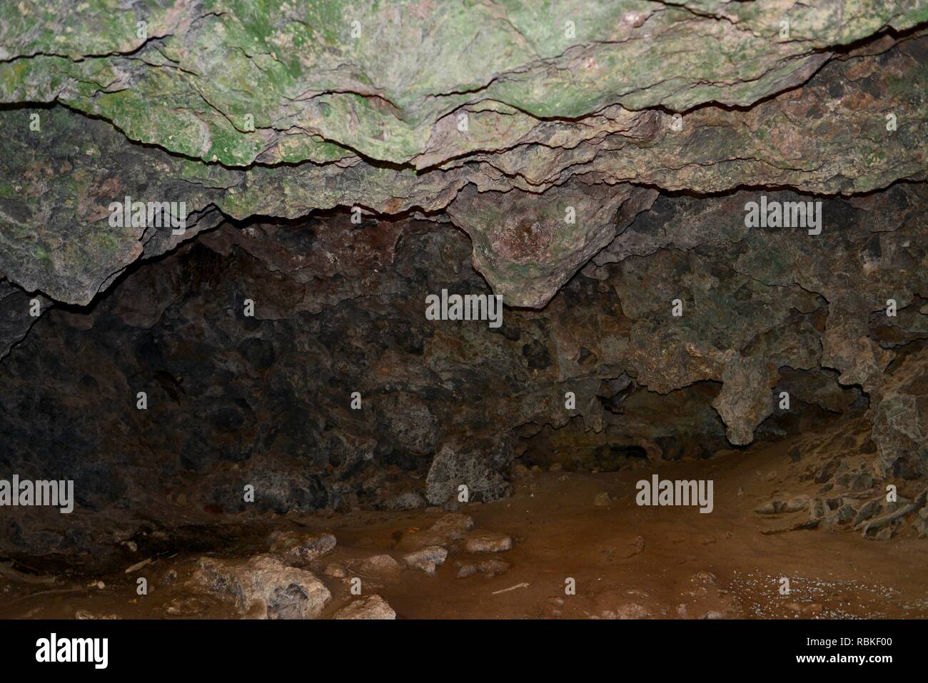 The limestone bat cave, Hiking through Cape Hillsborough National Park, Queensland, Australia Stock Photo