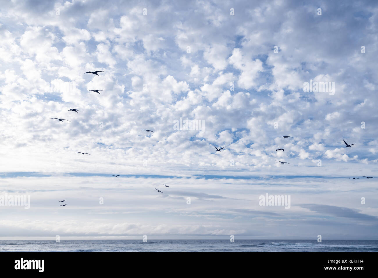Beautiful blue sky and clouds with flock of flying birds Stock Photo ...