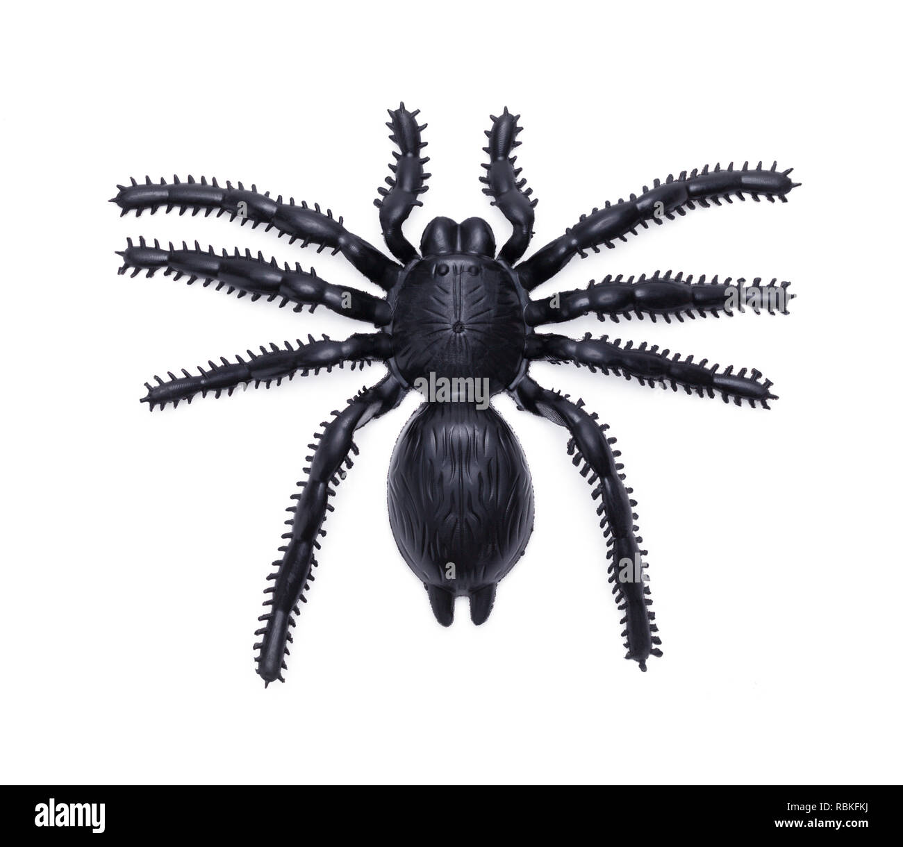 Black Rubber Spider Isolated on a White Background. Stock Photo