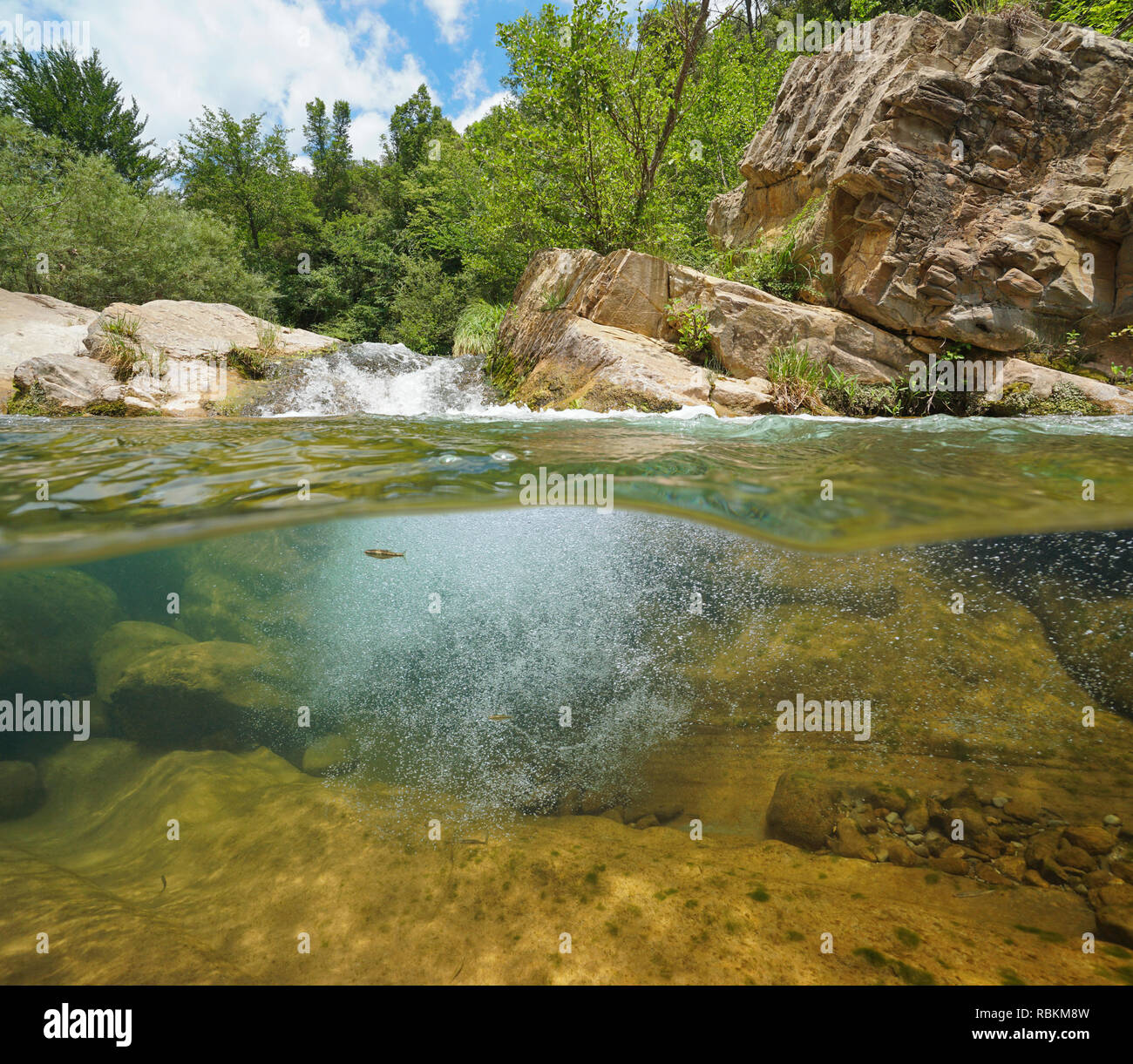 River Water in Forest, Rocky River Side Stock Photo - Image of grass,  scenery: 165302448