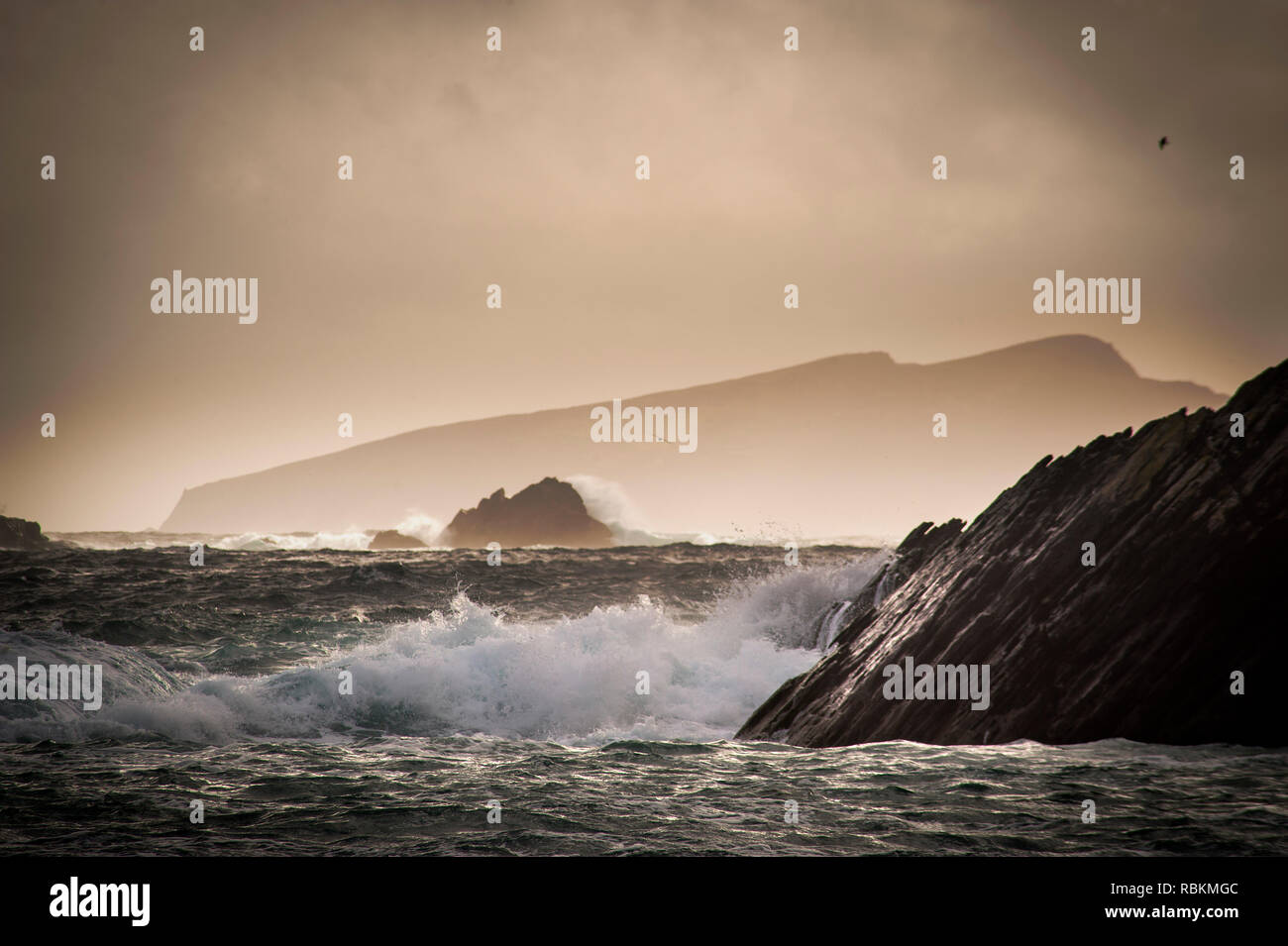 Inishtooskert from Clogher Bay, Co. Kerry Ireland Stock Photo