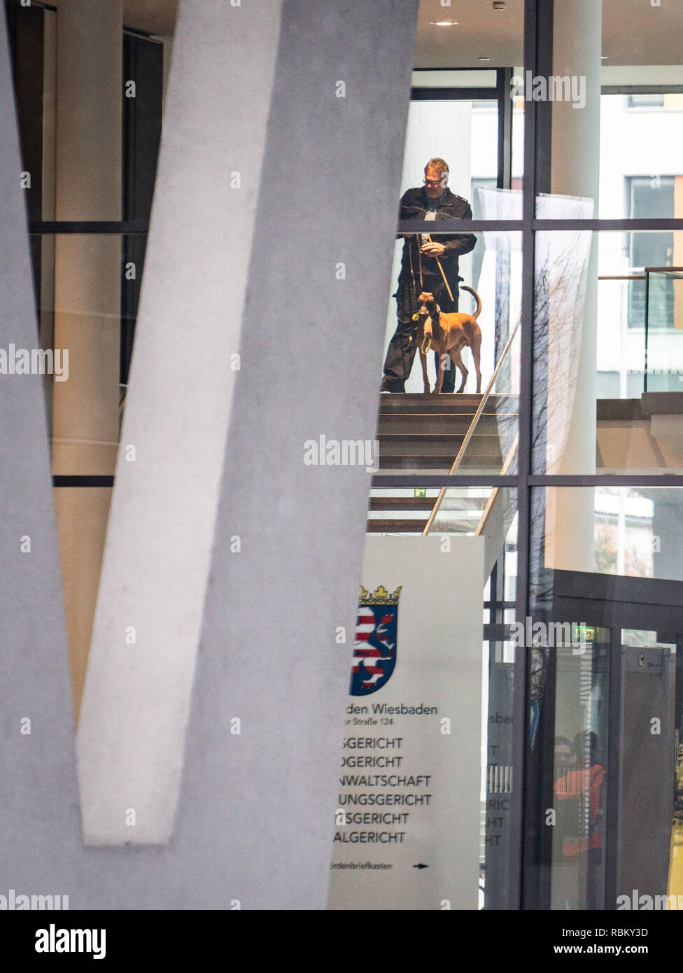 Wiesbaden, Germany. 11th Jan, 2019. A dog handler with an explosives