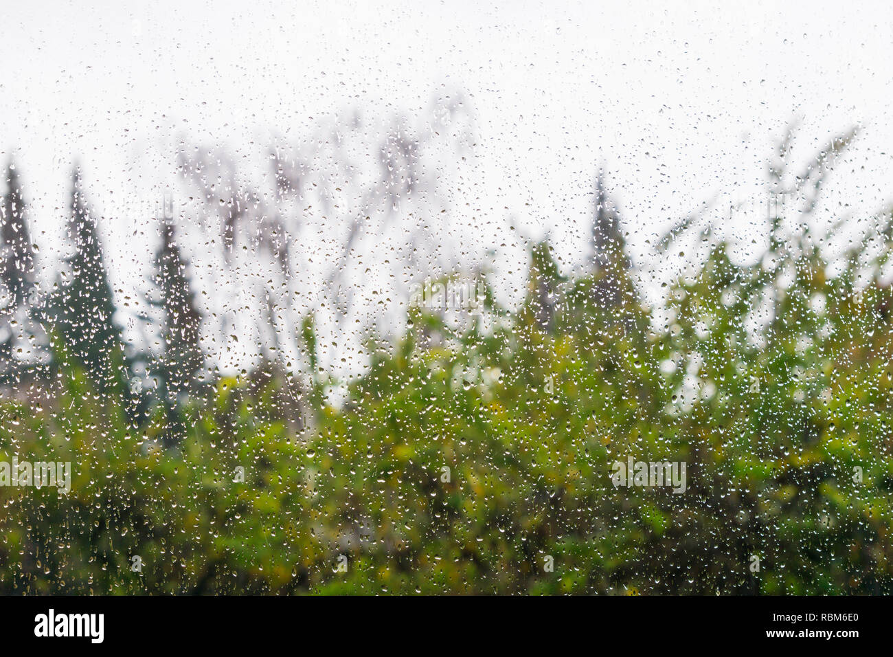 Natural light through window hi-res stock photography and images - Alamy