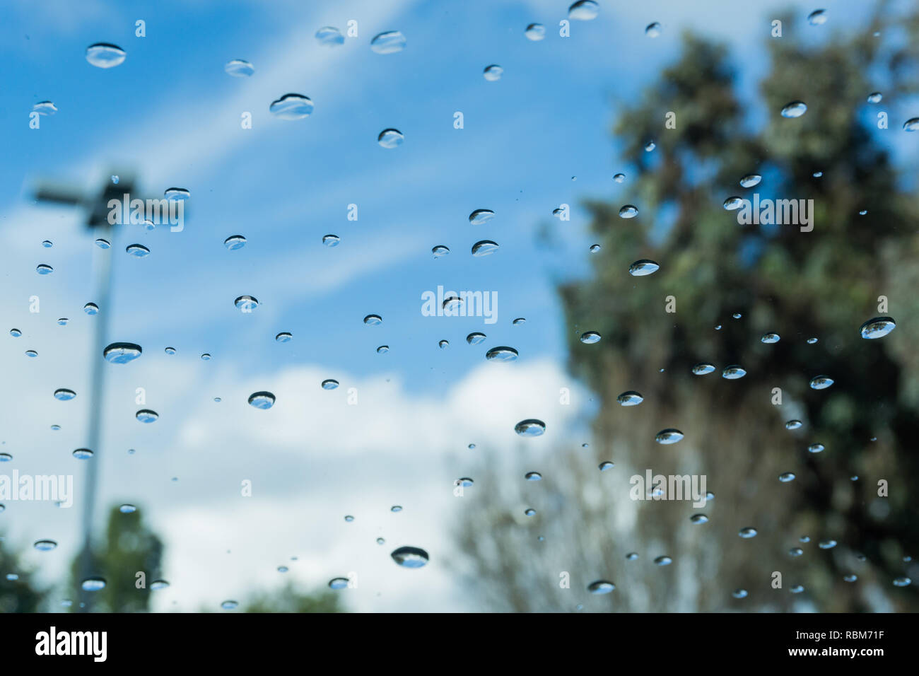 Drops of rain on the windshield; blurred trees and clouds in the background;  sunshine after the rain, shallow depth of field Stock Photo - Alamy