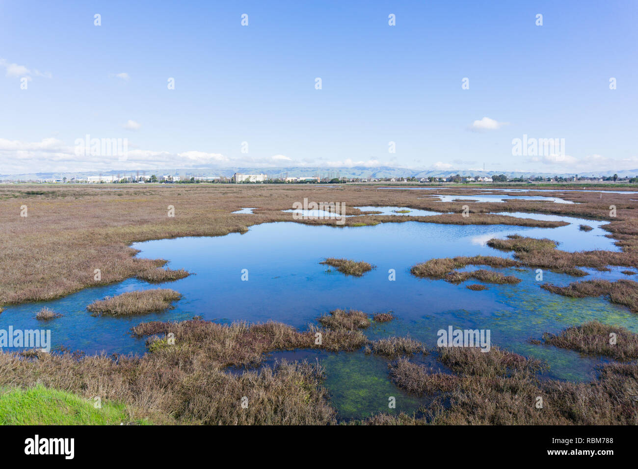 Baylands in Don Edwards wildlife refuge, Fremont, San Francisco bay area, California Stock Photo
