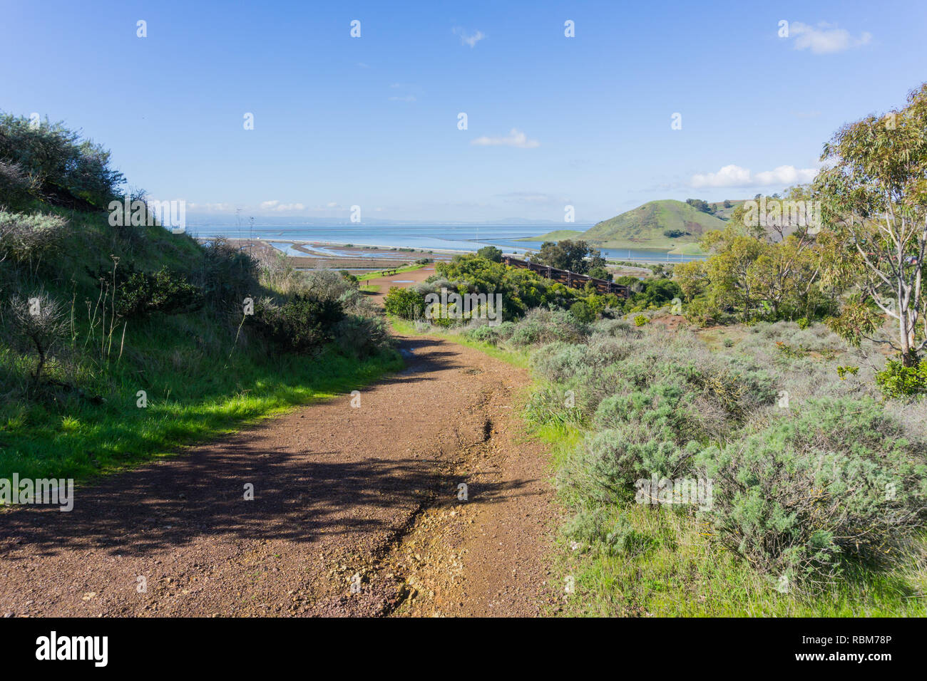 Trail in Don Edwards wildlife refuge, Dumbarton bridge and Coyote Hills Regional Park in the background, Fremont, San Francisco bay area, California Stock Photo
