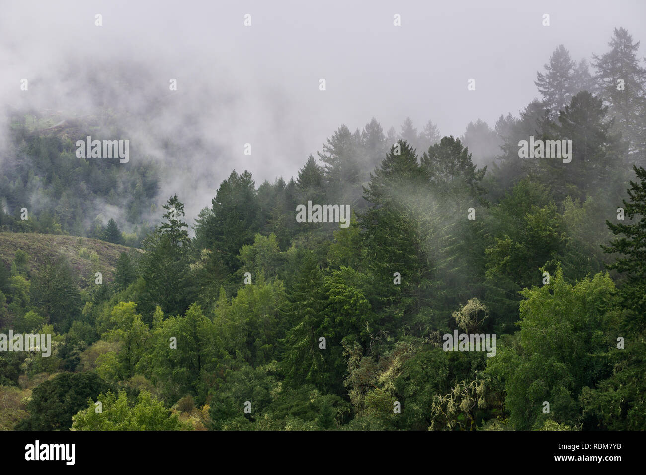 Rolling valleys hi-res stock photography and images - Alamy