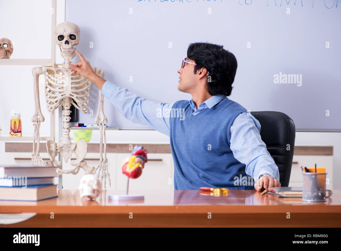 Young lecturer teacher teaching anatomy Stock Photo Alamy