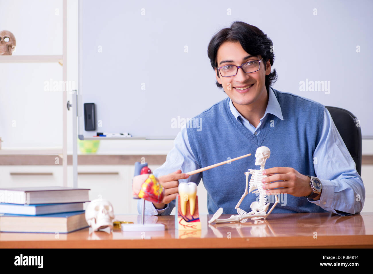 Young lecturer teacher teaching anatomy Stock Photo Alamy