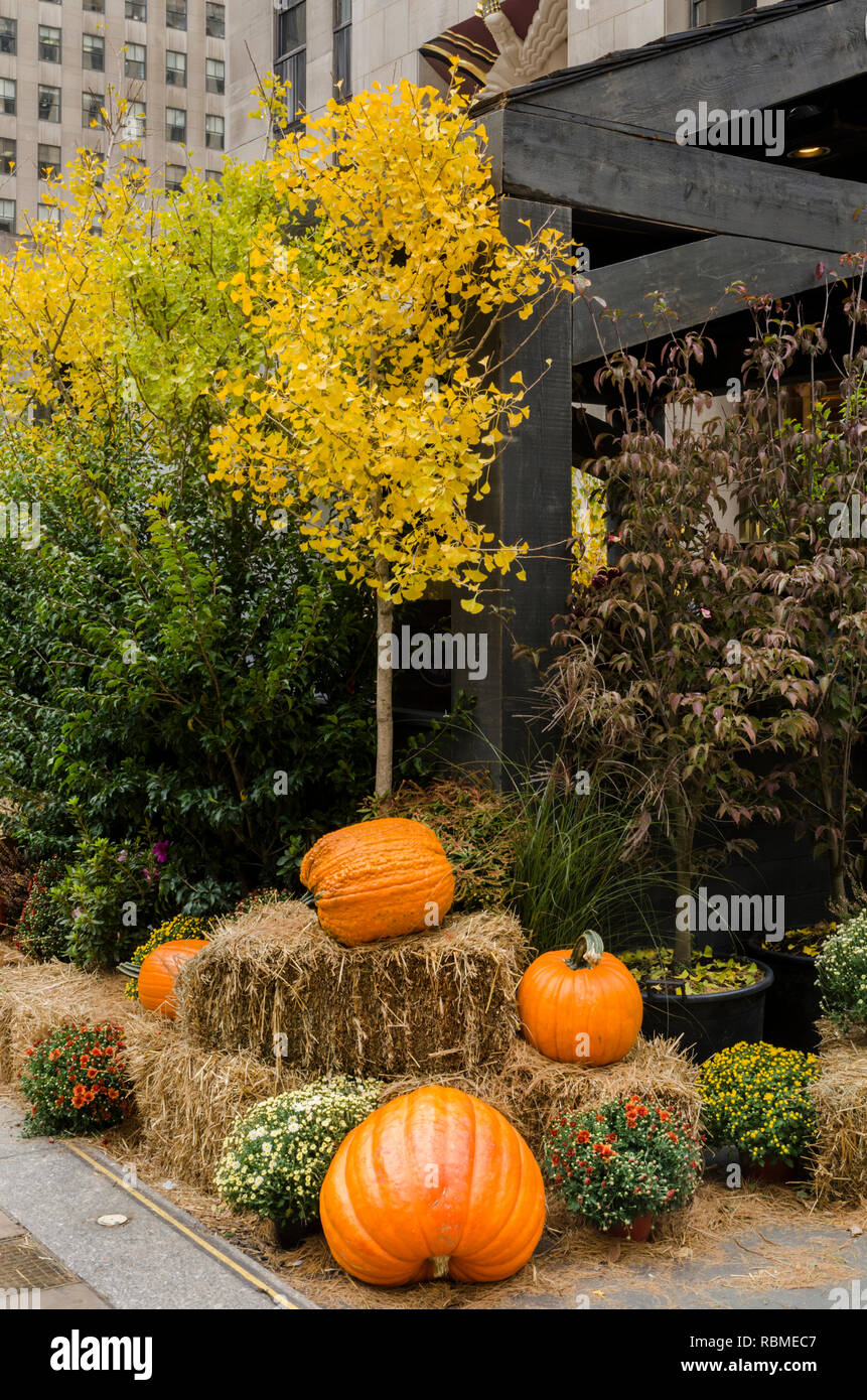 Pumpkin display and sale at Rockefeller Center Building, New York, USA Stock Photo