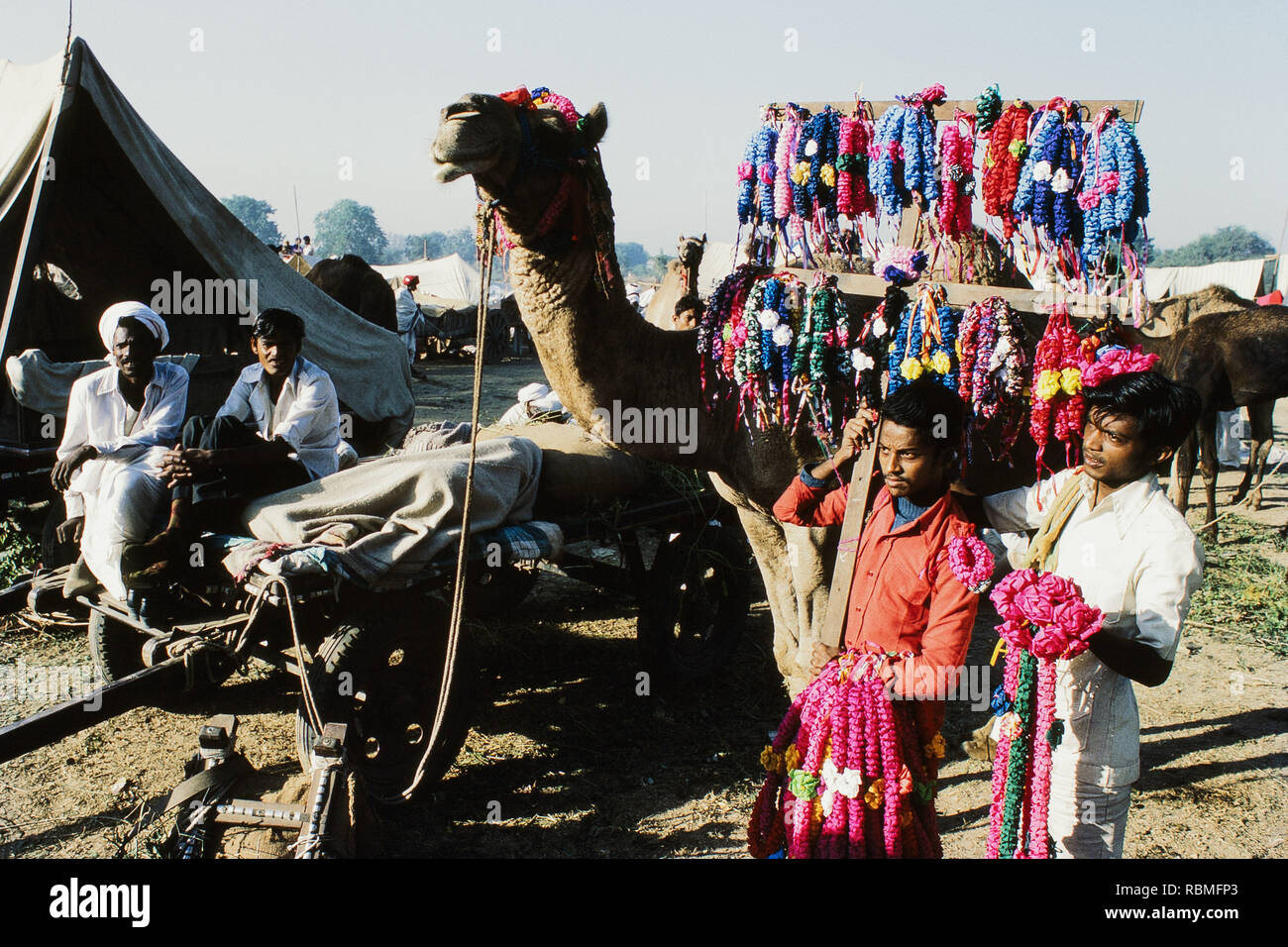 Artificial flower vendors, Voutha fair, Gujarat, India, Asia Stock Photo Alamy
