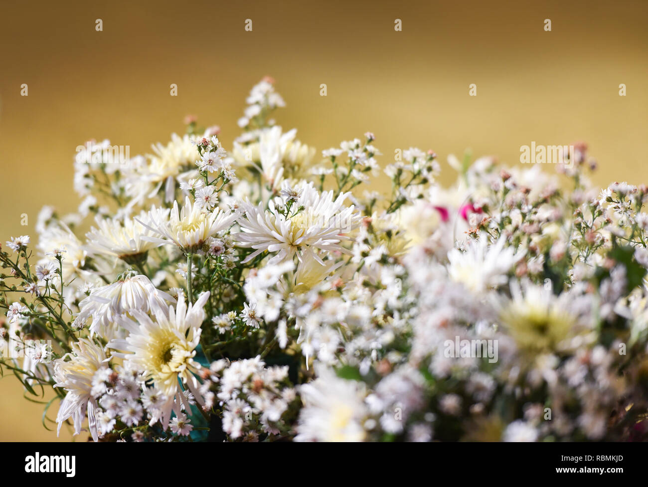 Bouquet Chrysanthemum Flowers Beautiful Of White Chrysanthemum