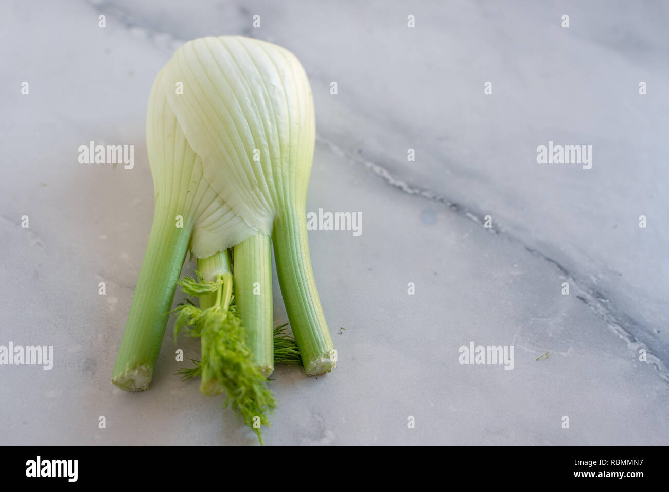 Fresh Florence fennel bulb Stock Photo Alamy