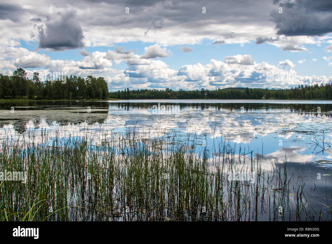 scenic view on lake with clouds and reed in foreground Stock Photo