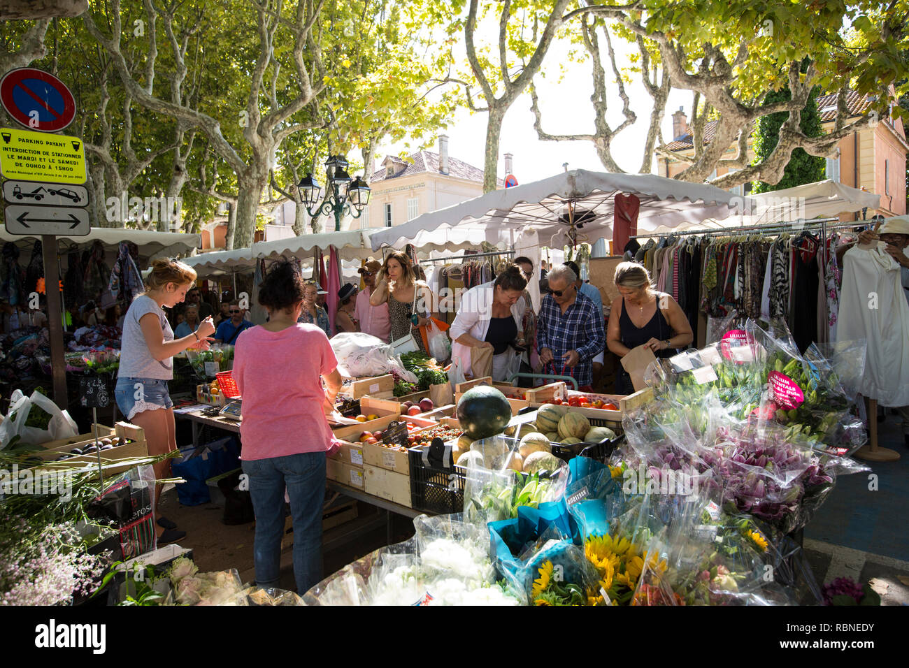 Place des Lices, SaintTropez coastal town on the French Riviera, in the ProvenceAlpesCôte d Place des Lices, SaintTropez coastal town on the French Riviera, in the ProvenceAlpesCôte d