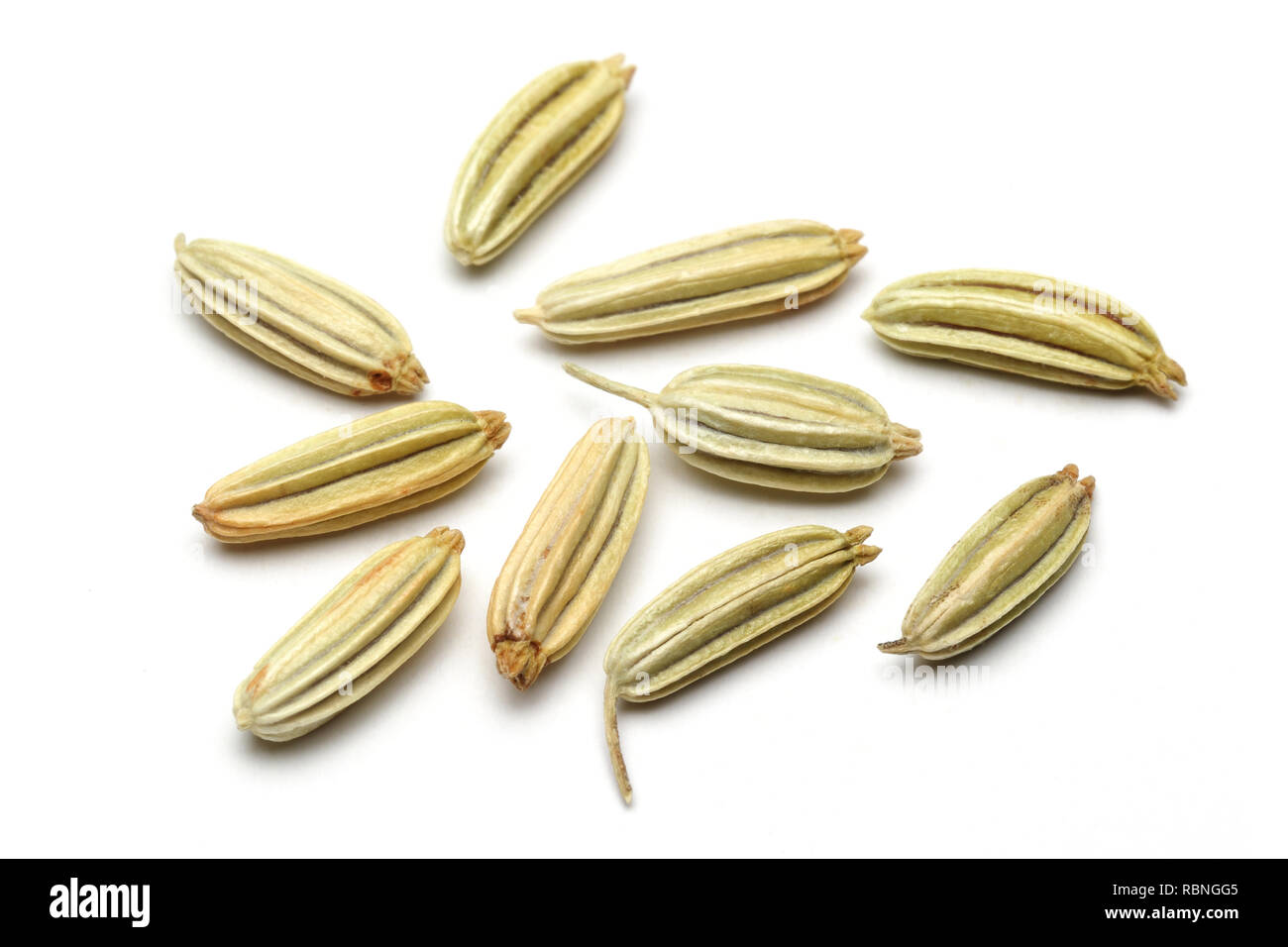 Dried fennel seeds isolated on white background, macro shot Stock Photo