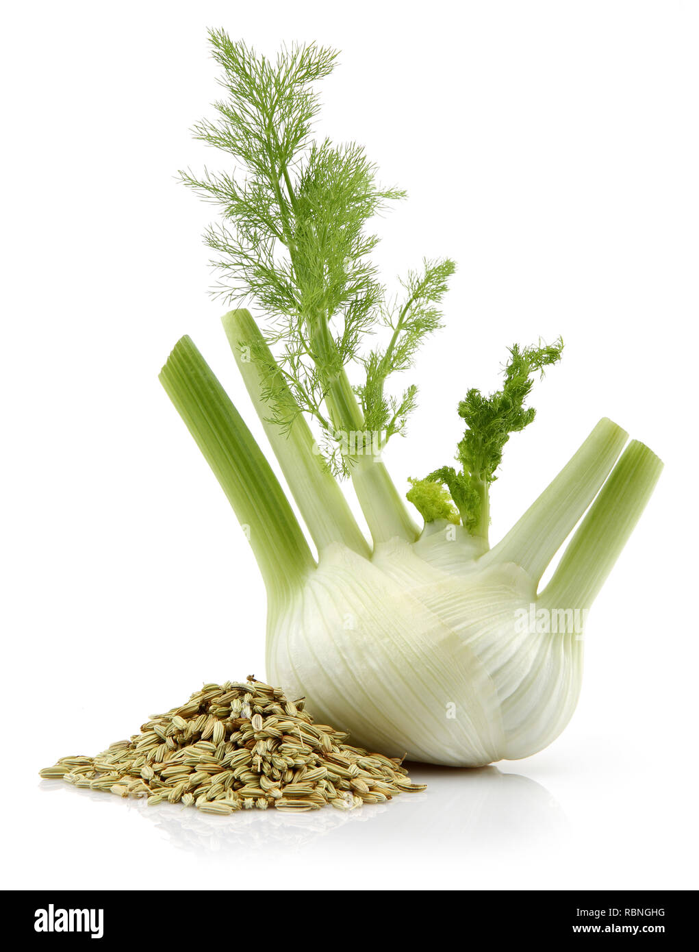 Fresh Fennel Bulb And Dried Fennel Seeds Isolated On White Background Stock Photo Alamy Fresh Fennel Bulb And Dried Fennel Seeds Isolated On White Background Stock Photo Alamy